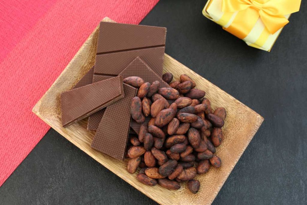 cacao-origin-and-quality